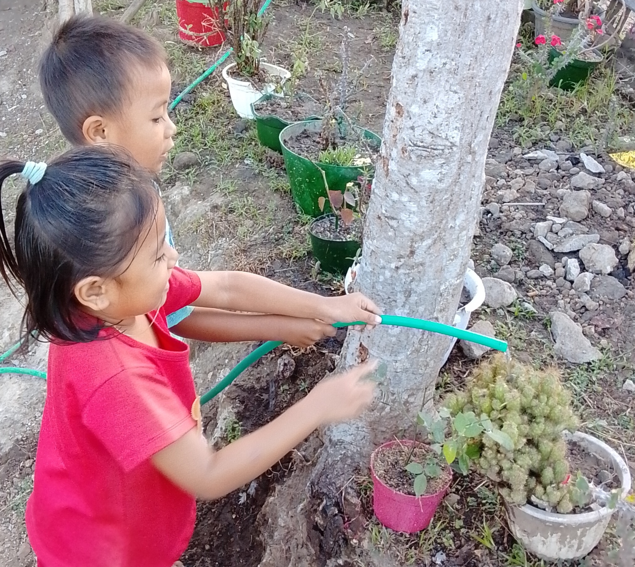 Jangan lupa disiram ya