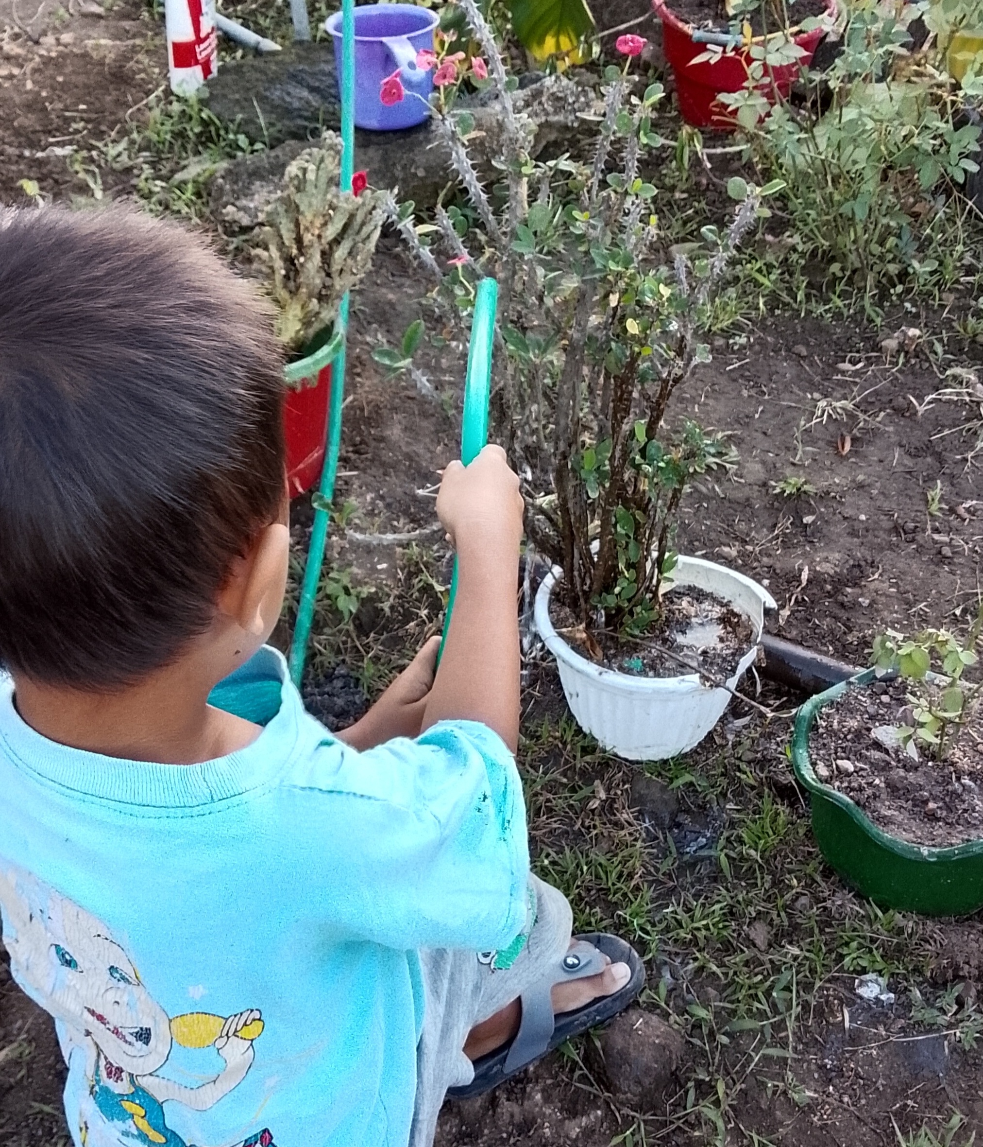 Rutinitas di Pagi Hari